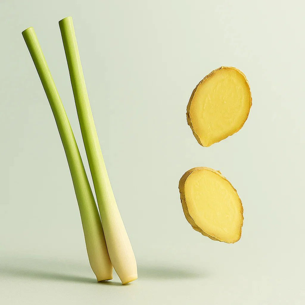 Lemongrass & Ginger - XXL Wax Melt Bar