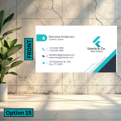 Standard Business Card (Single Sided)