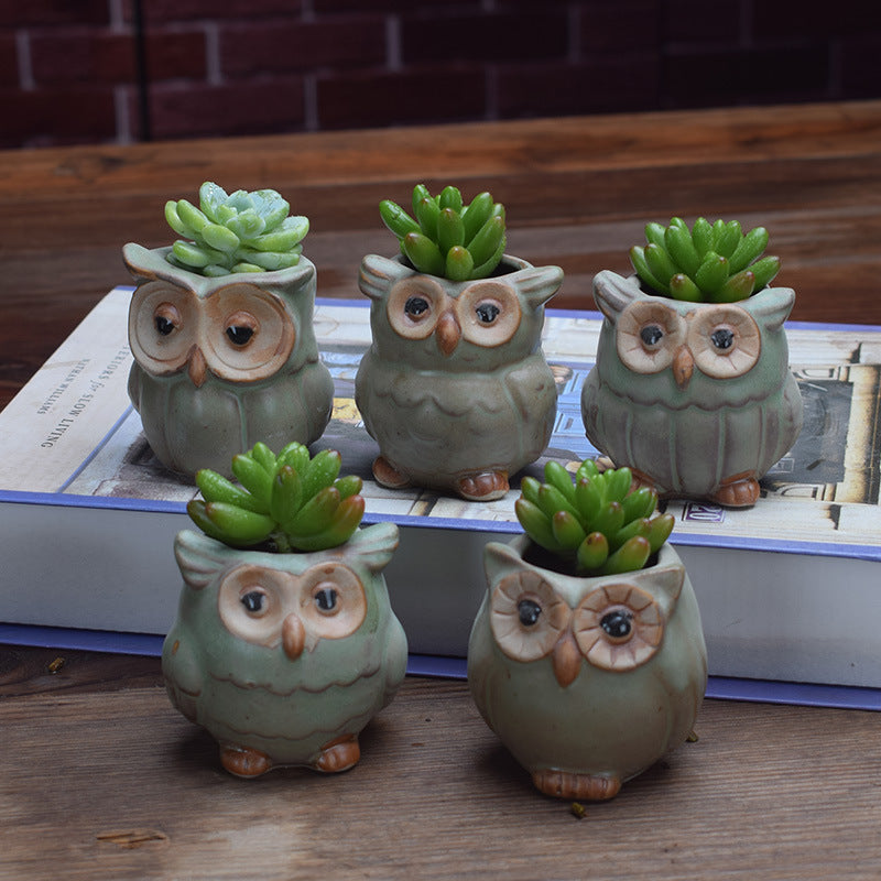Owl Shape Desk Plant Pot