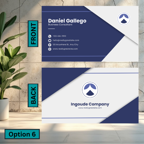 Standard Business Card (Double Sided)