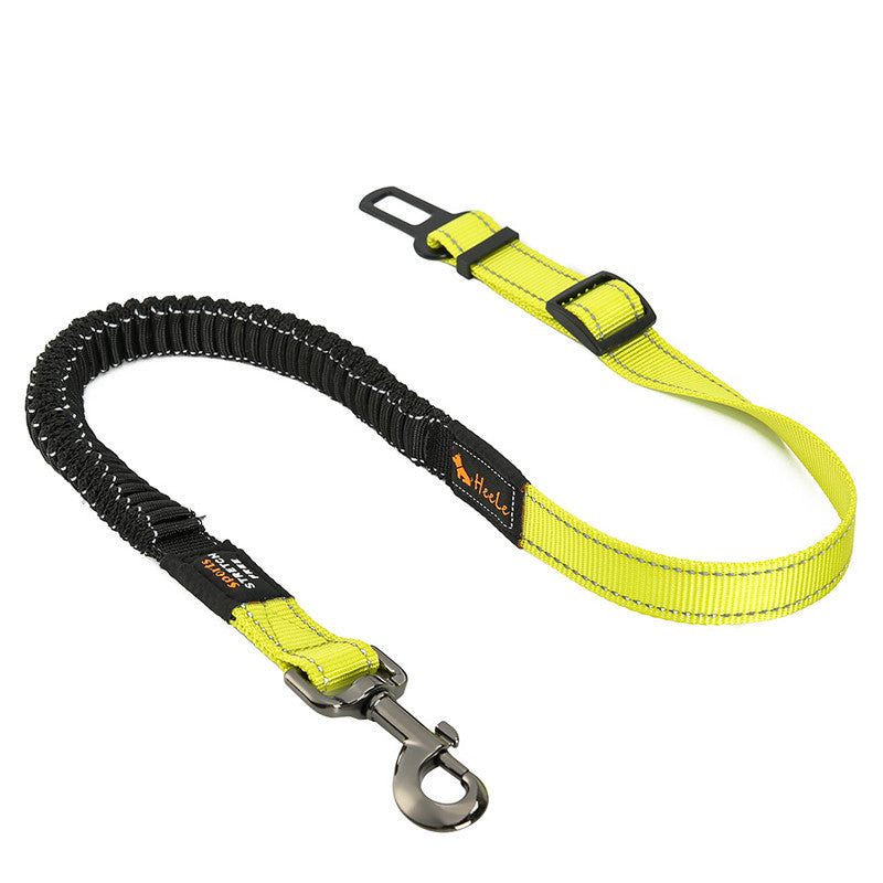 Pet Seat Belt
