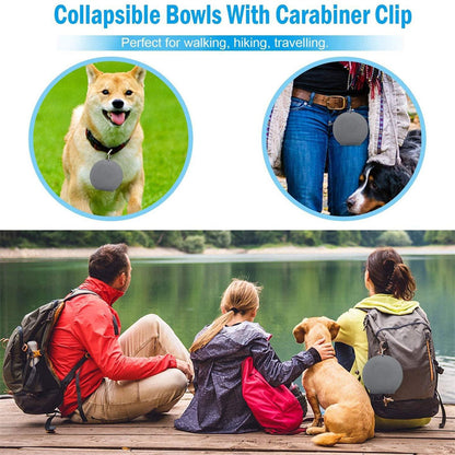 Foldable Pet Bowl